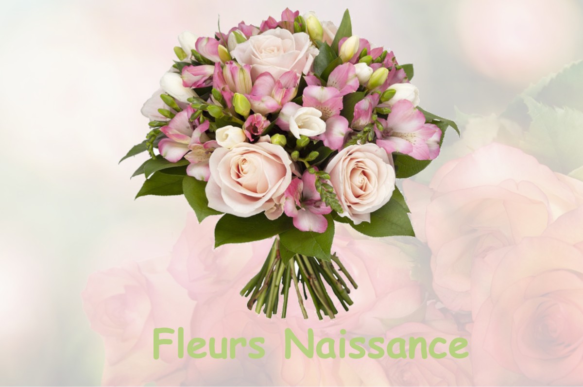 fleurs naissance SAINT-BENOIT-SUR-LOIRE